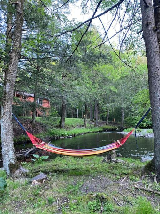 Peaceful Gateway To Island Creek Cottage East Stroudsburg Bagian luar foto