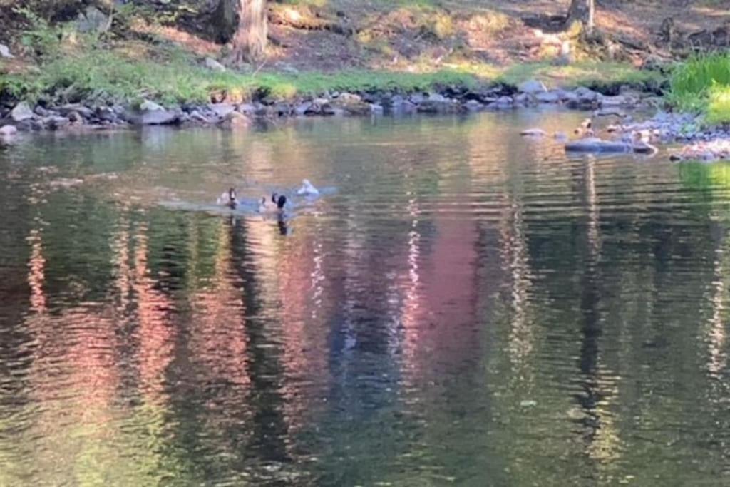 Peaceful Gateway To Island Creek Cottage East Stroudsburg Bagian luar foto